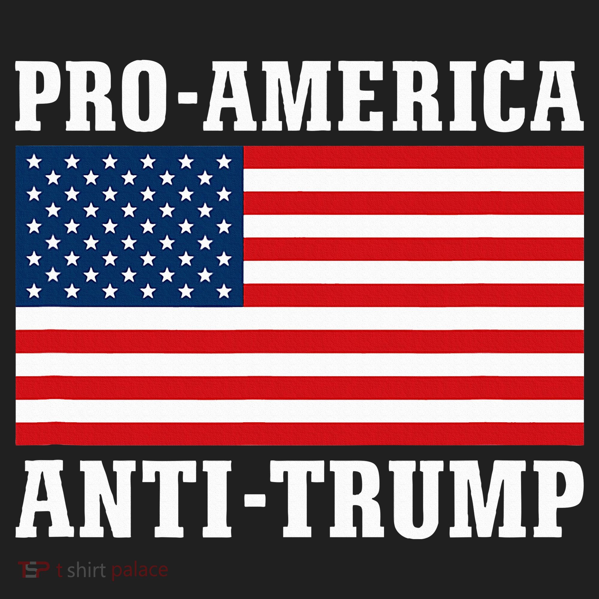 Pro America Anti Trump Beanie