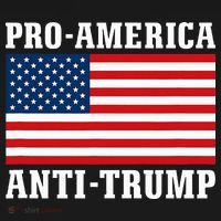 Pro America Anti Trump Toddler Hoodie thumb 2