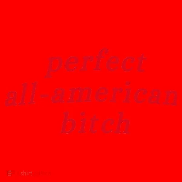 Perfect All American Bitch Santa Hat