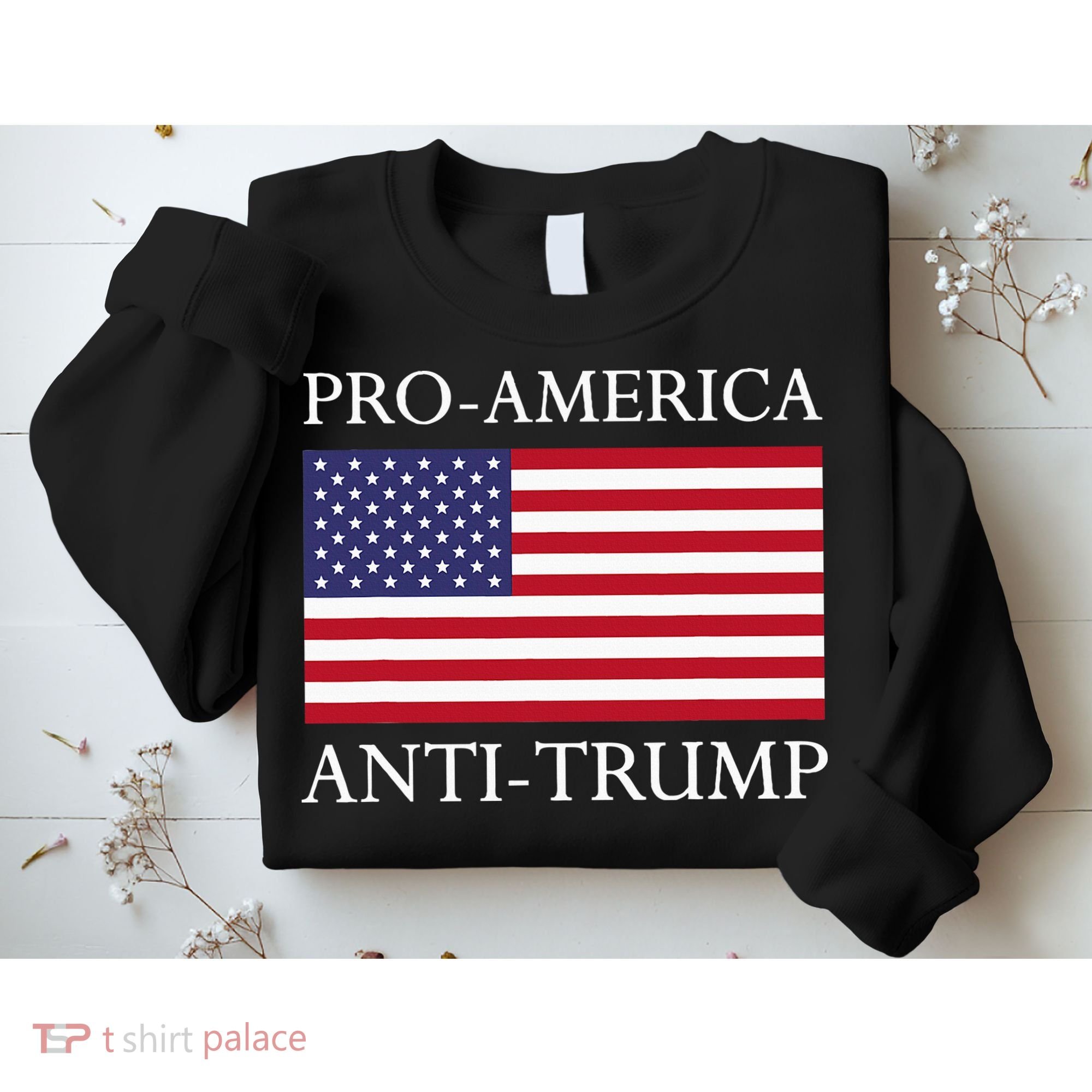 Proamerica Antitrump American Usa Flag Resist Sweatshirt