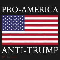 Proamerica Antitrump American Usa Flag Resist Women's Hoodie thumb 2