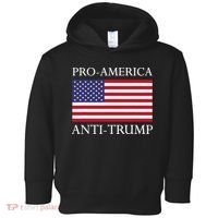 Proamerica Antitrump American Usa Flag Resist Toddler Hoodie thumb 0