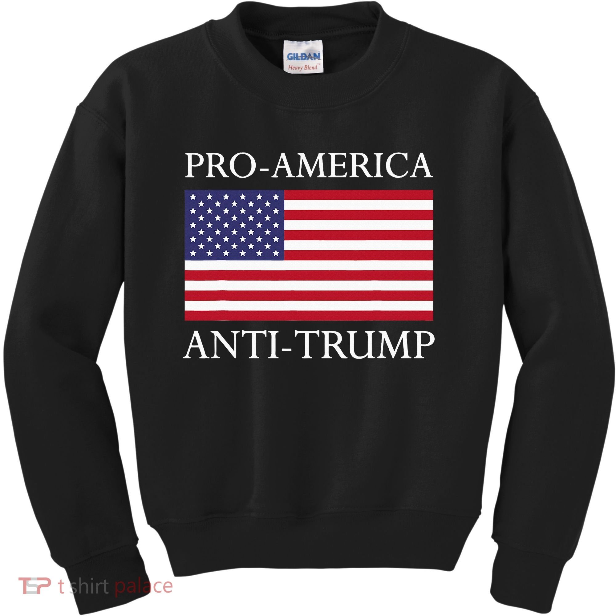 Proamerica Antitrump American Usa Flag Resist Kids Sweatshirt