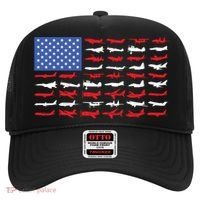 Pilot Airplane American Flag Plane Aviation Gift Hat thumb 0
