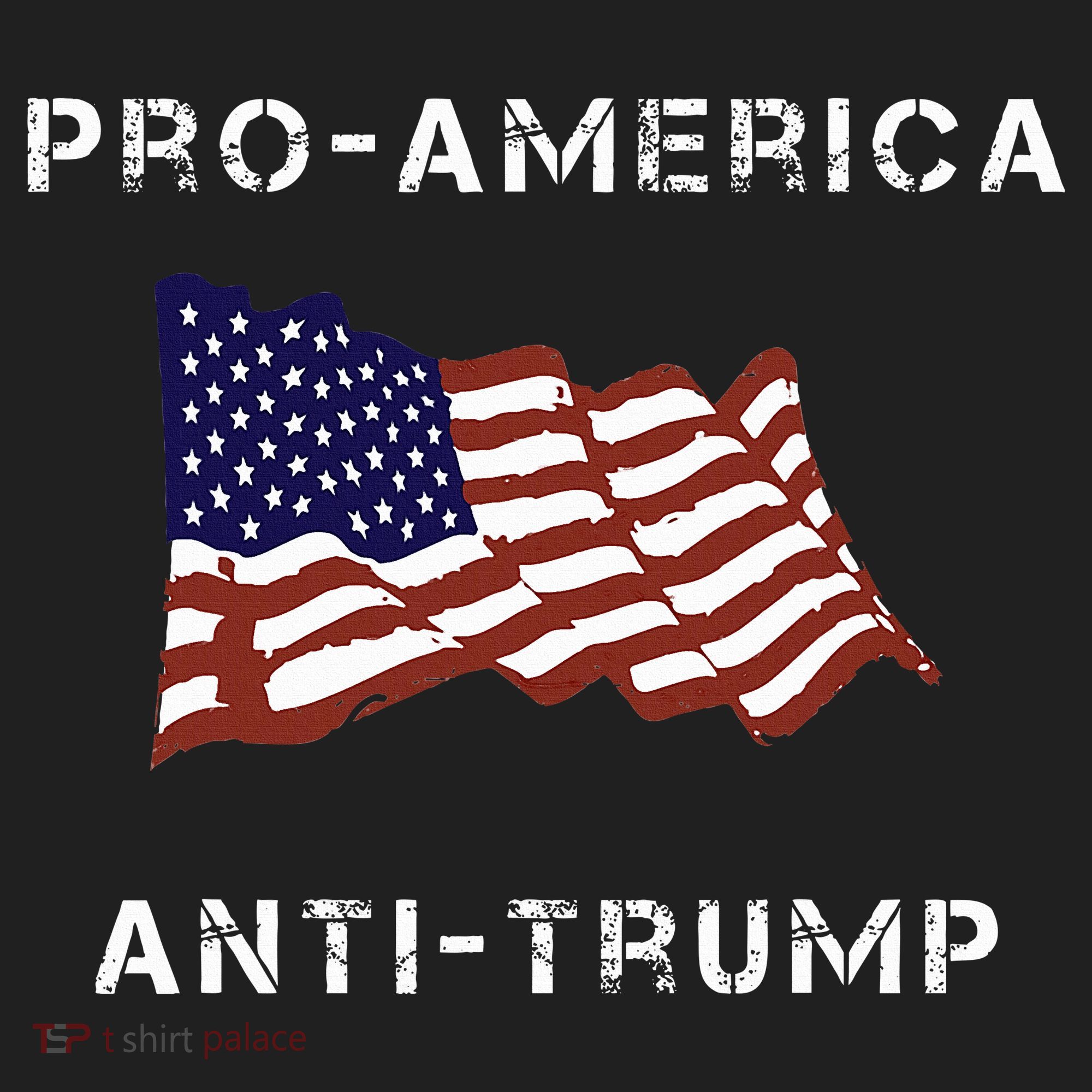 Pro America Anti Trump American Usa Flag Hat
