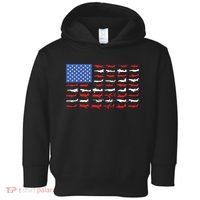 Pilot Airplane American Flag Plane Aviation Toddler Hoodie thumb 0