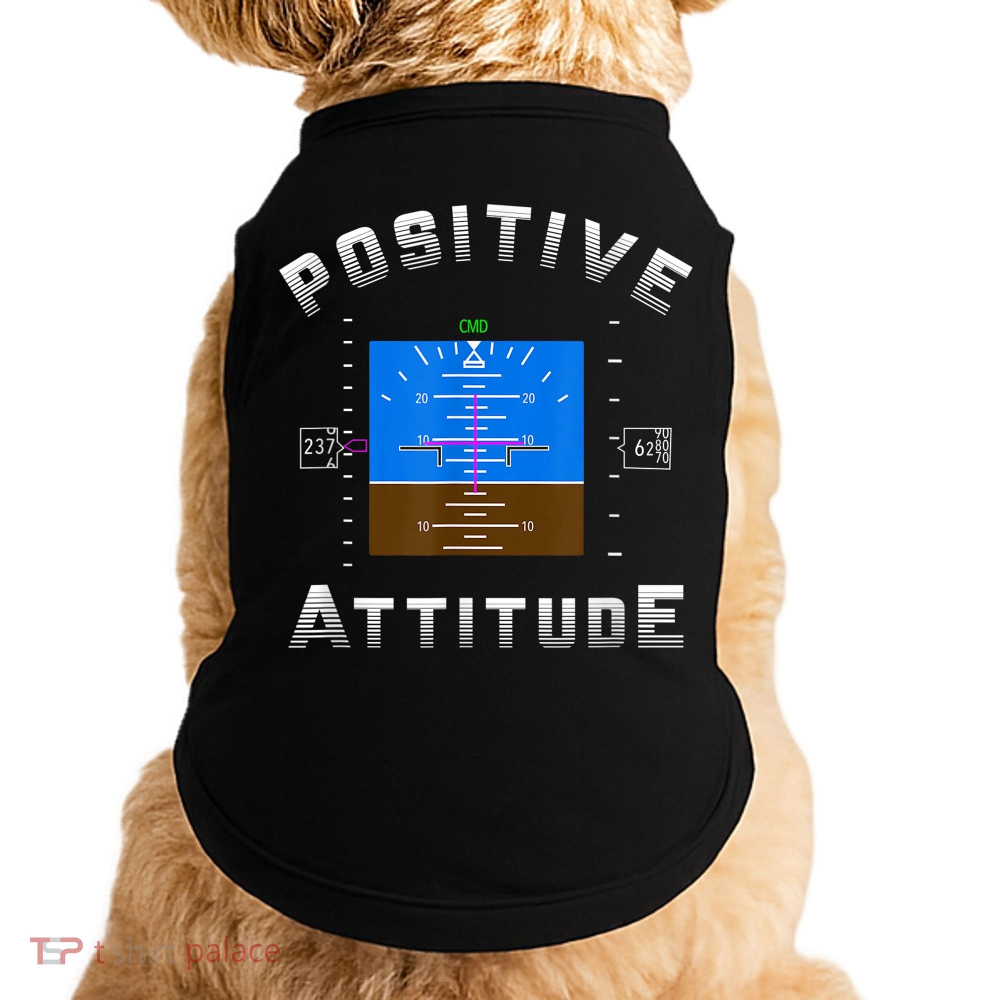 Positive Attitude Aviation Pilot Primary Flight Display Doggie Tank