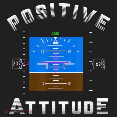 Positive Attitude Aviation Pilot Primary Flight Display Adult Drive Performance Visor