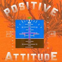 Positive Attitude Aviation Pilot Primary Flight Display Kati Licensed 12" Camo Cuffed Beanie thumb 2
