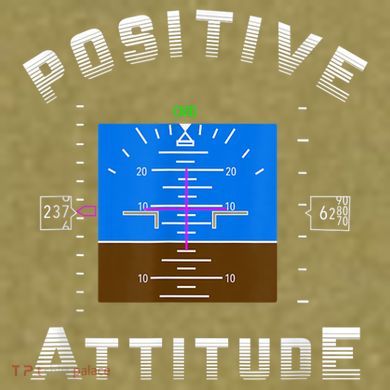 Positive Attitude Aviation Pilot Primary Flight Display Garment-Dyed Women's Muscle Tee