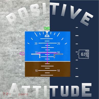 Positive Attitude Aviation Pilot Primary Flight Display Kids Colorblock Raglan Jersey