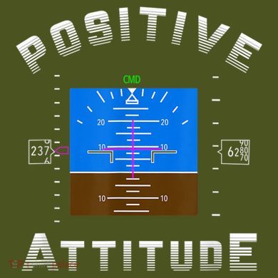 Positive Attitude Aviation Pilot Primary Flight Display The Baniff Cuffed Pom Beanie
