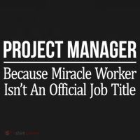 Project Ager Because Miracle Worker Isn't Job Title Gift Cute Gift Ornament thumb 1