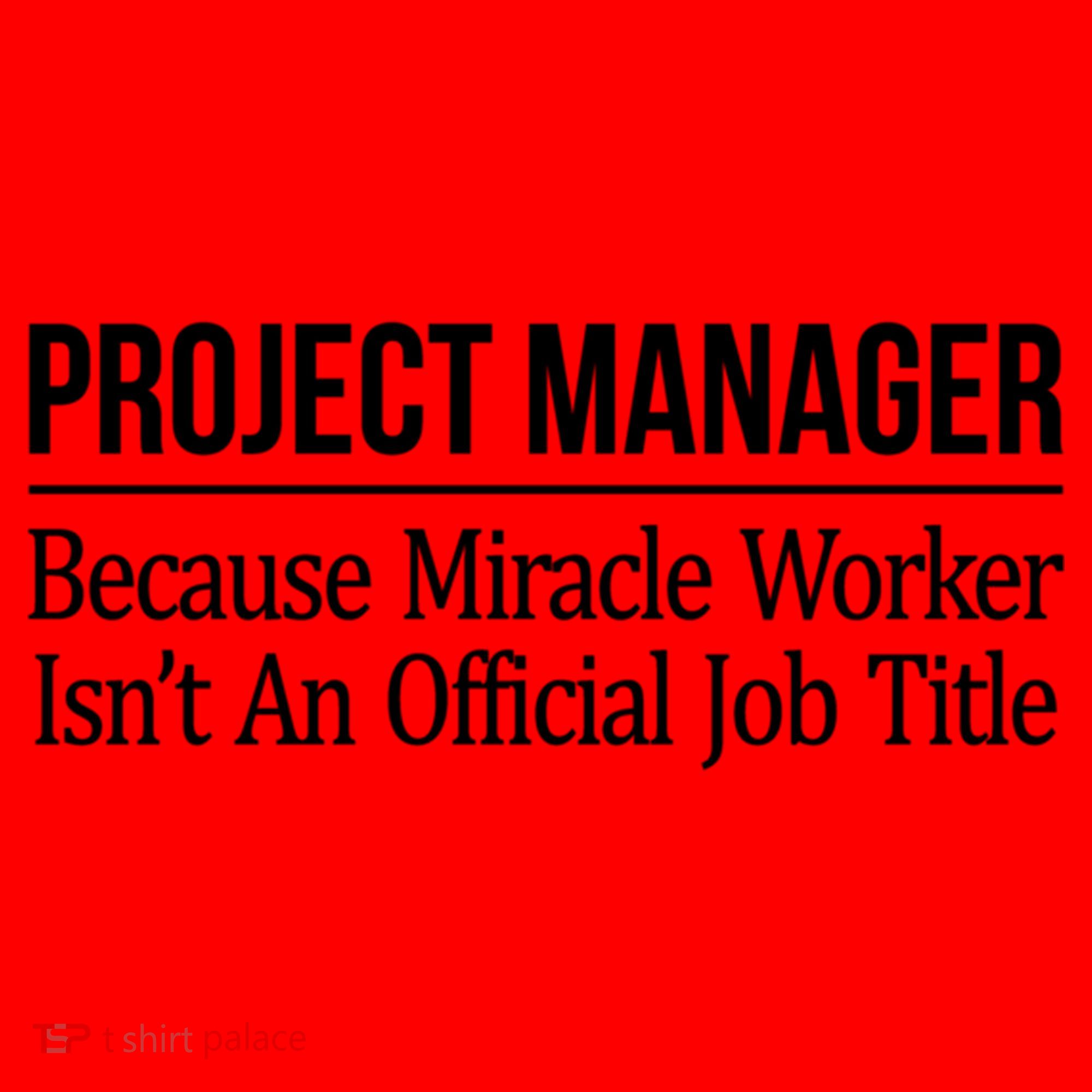 Project Ager Because Miracle Worker Isn't Job Title Gift Cute Gift Santa Hat