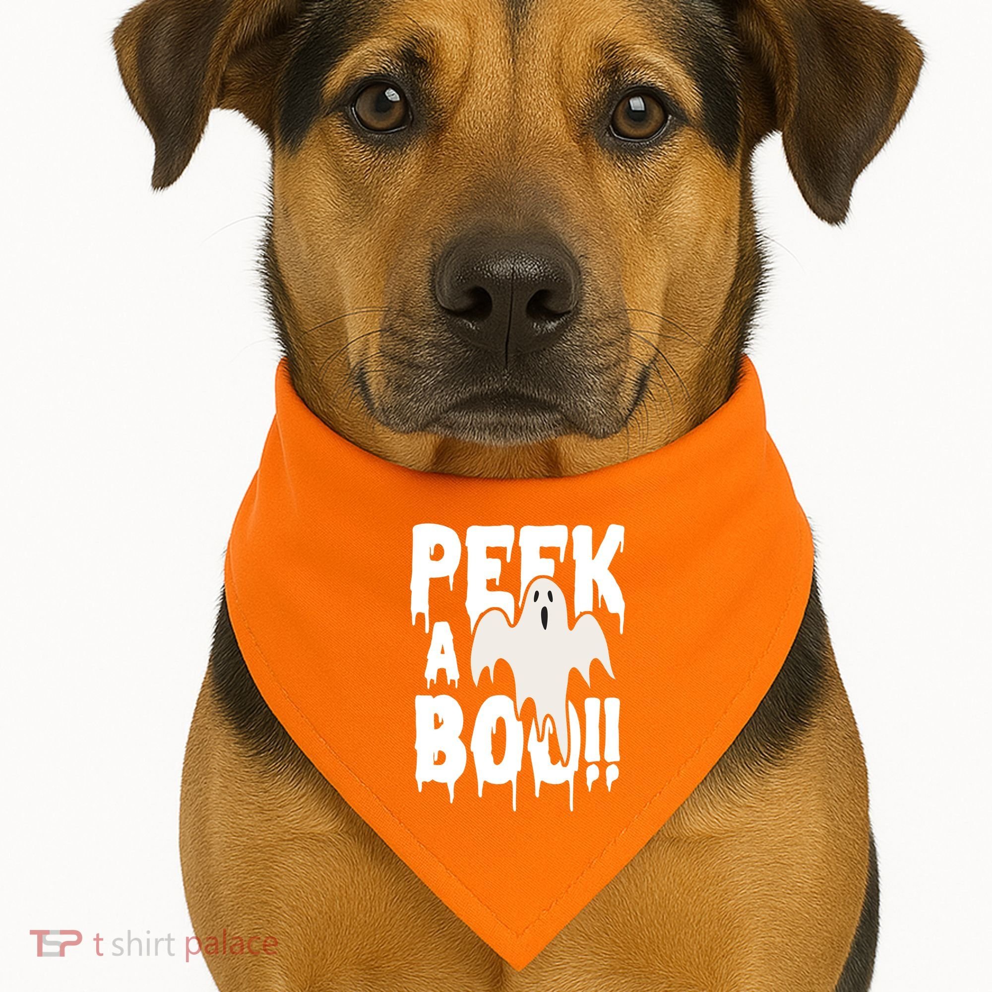 Peek A Boo Halloween Ghost USA-Made Doggie Bandana