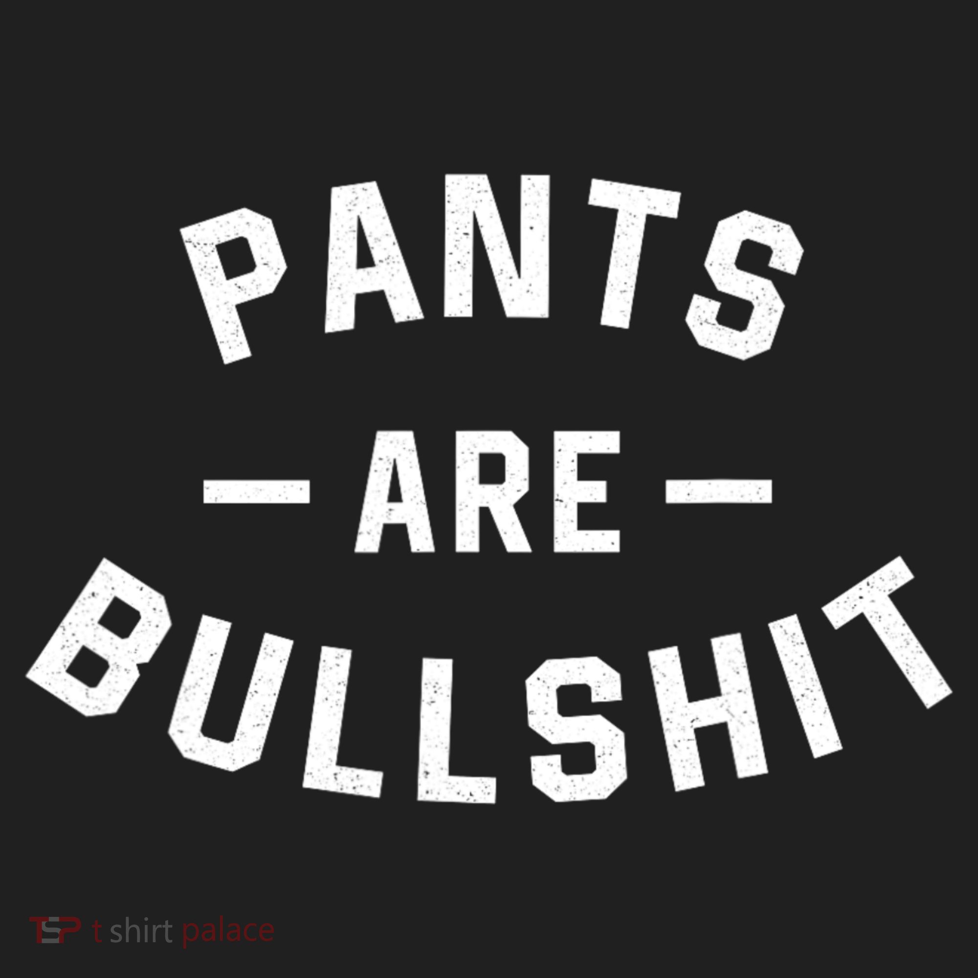 Pants Are Bullshit Funny Sarcastic Beanie