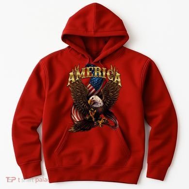 Patriotic America Design With Eagle And American Flag Hoodie