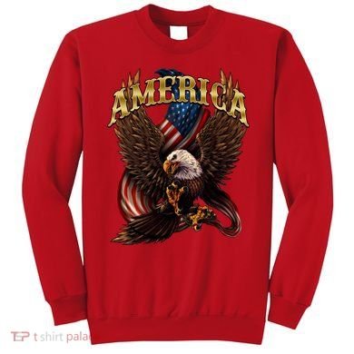 Patriotic America Design With Eagle And American Flag Sweatshirt