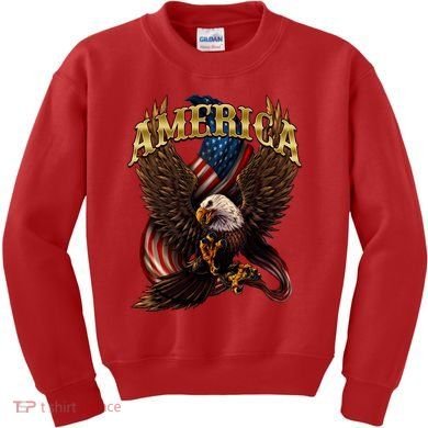Patriotic America Design With Eagle And American Flag Kids Sweatshirt