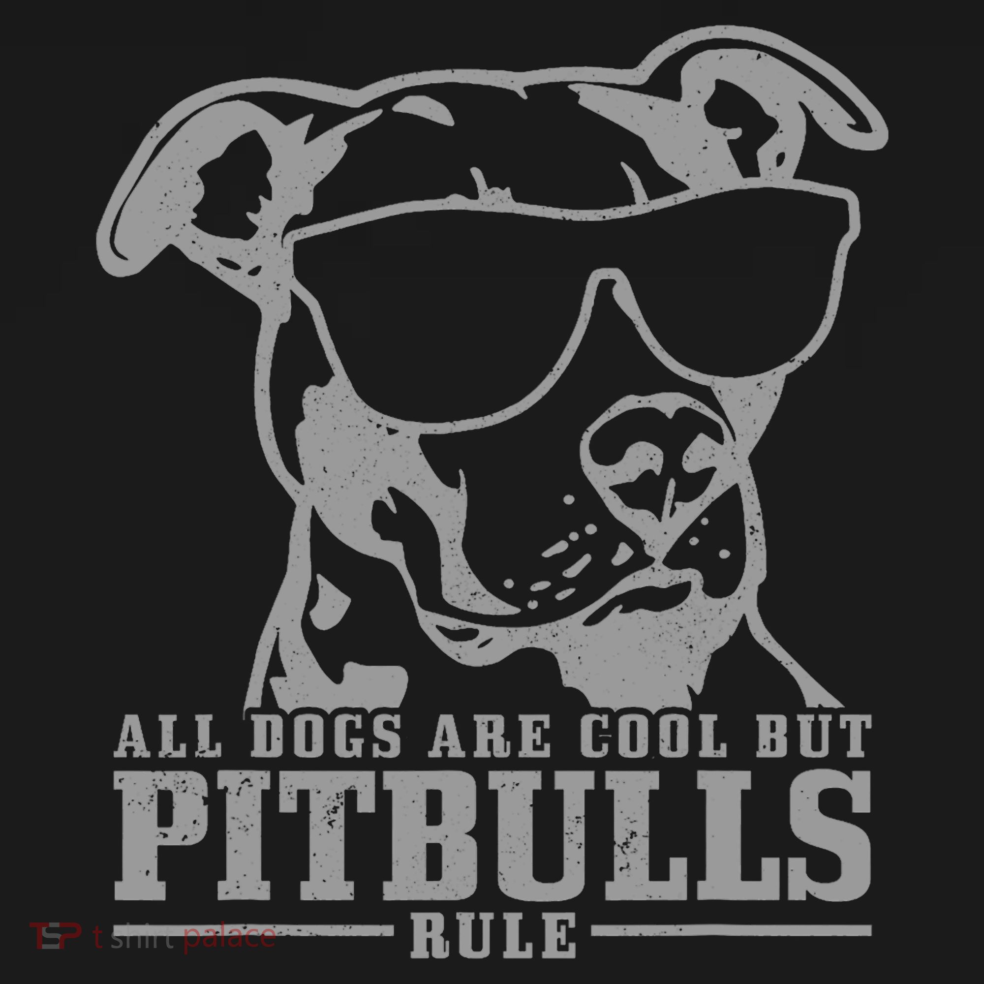 Pitbull All Dogs Are Cool Pitbulls Rule Funny Pitbull Women's Hoodie