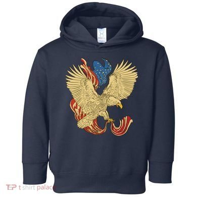 Patriotic American Eagle And United States Flag Toddler Hoodie