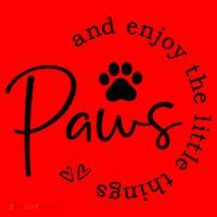 Paws And Enjoy The Little Things White Santa Hat thumb 1