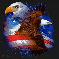 Patriotic American Eagle USA Flag Apron thumb 3