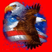 Patriotic American Eagle USA Flag Santa Hat thumb 1