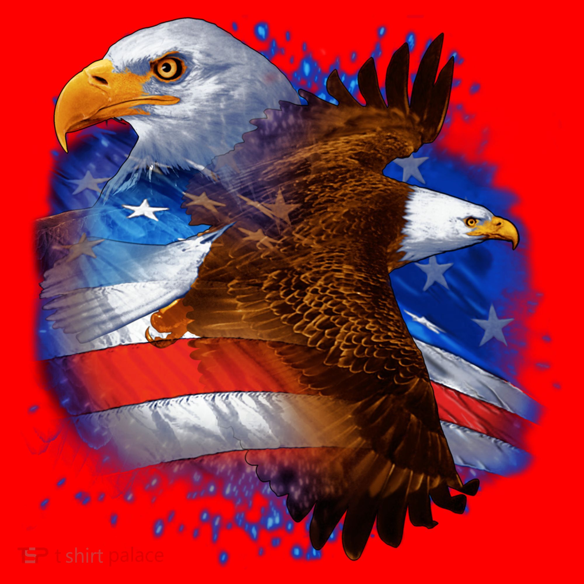 Patriotic American Eagle USA Flag Santa Hat