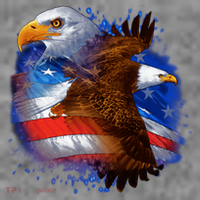 Patriotic American Eagle USA Flag Women's Hoodie thumb 2
