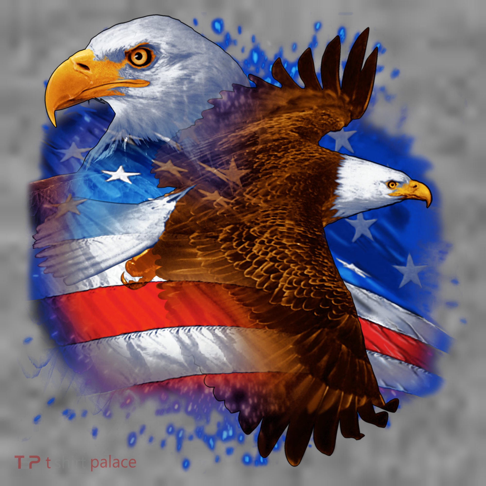 Patriotic American Eagle USA Flag Women's Hoodie