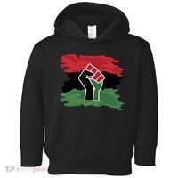 Pan African Flag Black Fist U.N.I.A. Flag Toddler Hoodie thumb 0