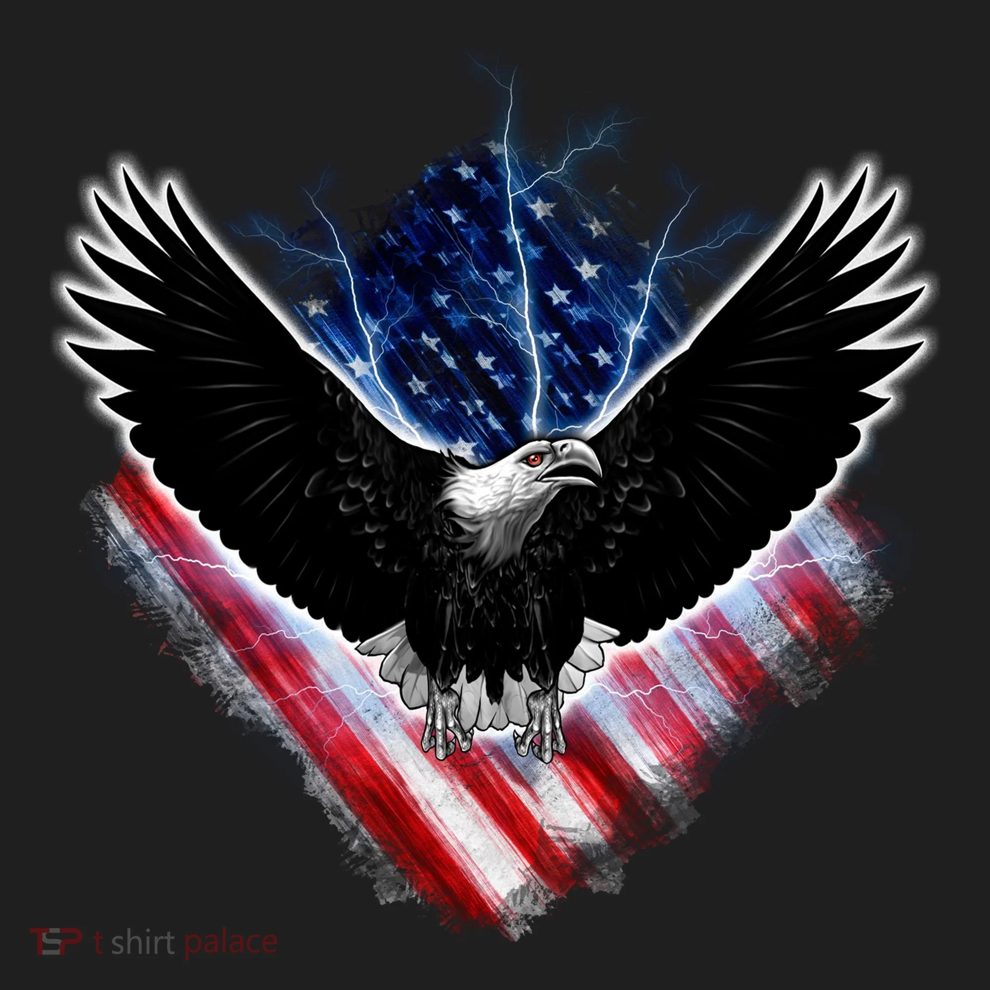 Patriotic American Flag Bald Eagle Women's Sweatshirt