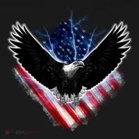 Patriotic American Flag Bald Eagle Women's T-Shirt thumb 6