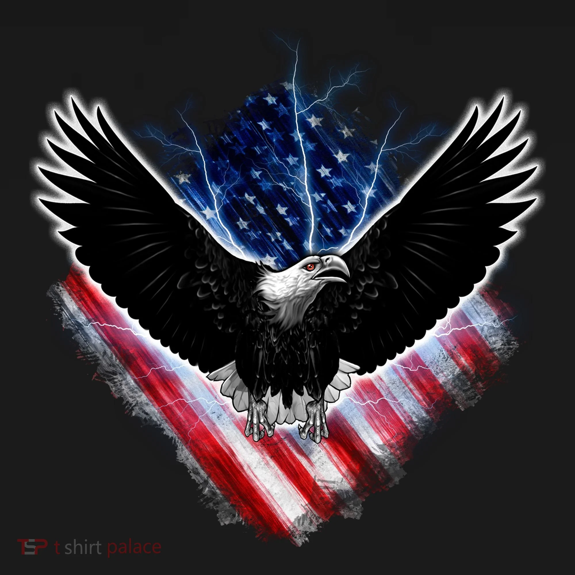 Patriotic American Flag Bald Eagle Women's T-Shirt