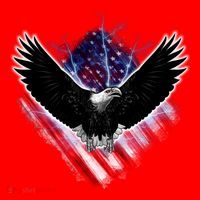 Patriotic American Flag Bald Eagle Santa Hat thumb 1