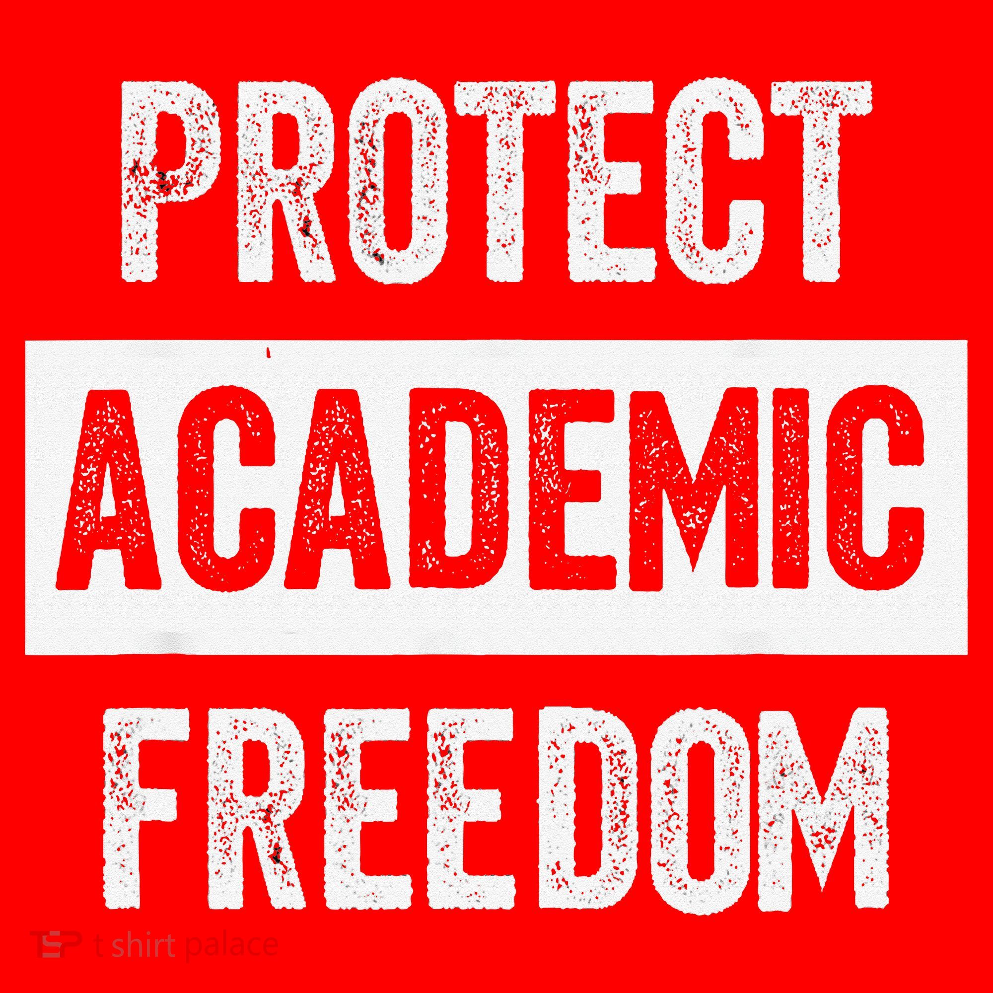 Protect Academic Freedom Santa Hat