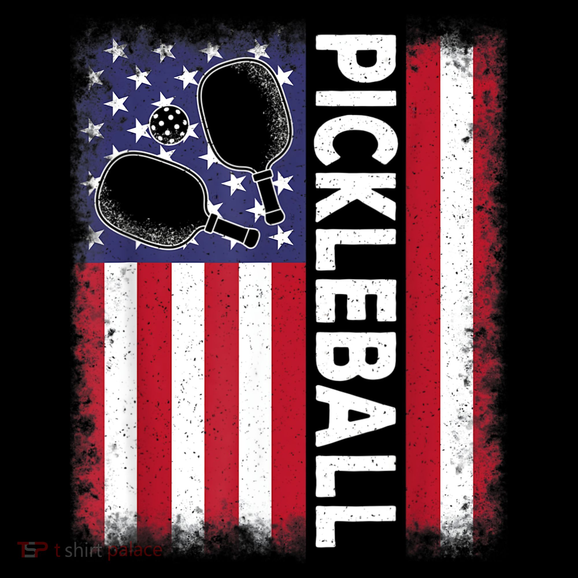 Pickleball American Flag Funny Pickleball Lover T-Shirt