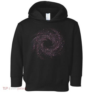 Physicist Astronaut Gift Idea Quantum Physics Spiral Galaxy Toddler Hoodie