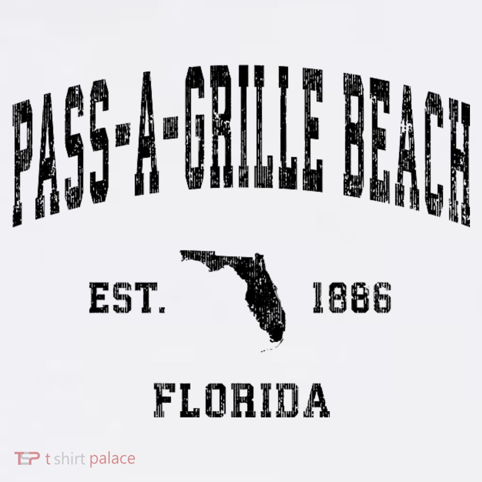 Pass A Grille Beach Florida Fl Vintage Established Athletic T-Shirt