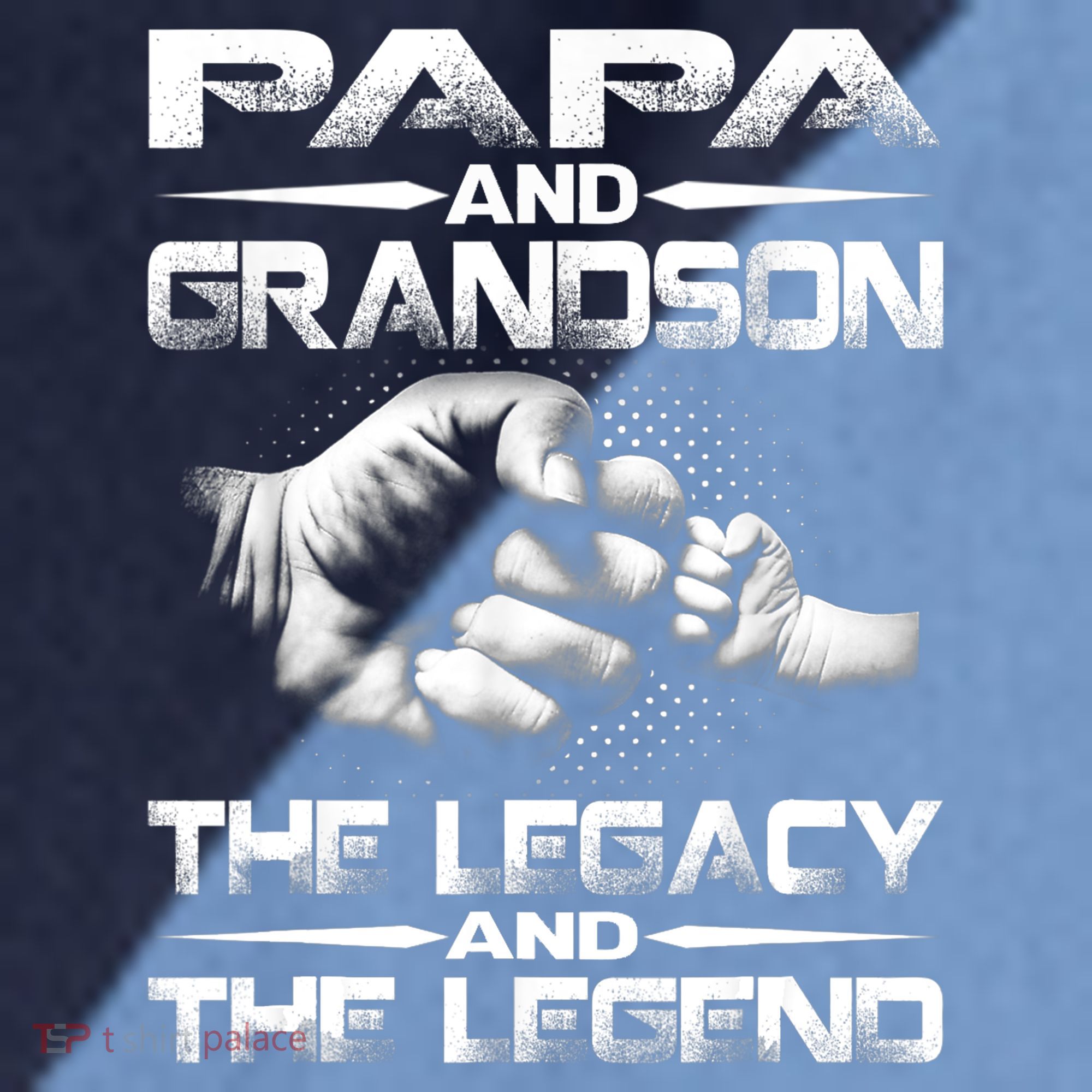 Papa And Grandson The Legend And The Legacy TShirt Raglan Baseball Sleeve Shirt