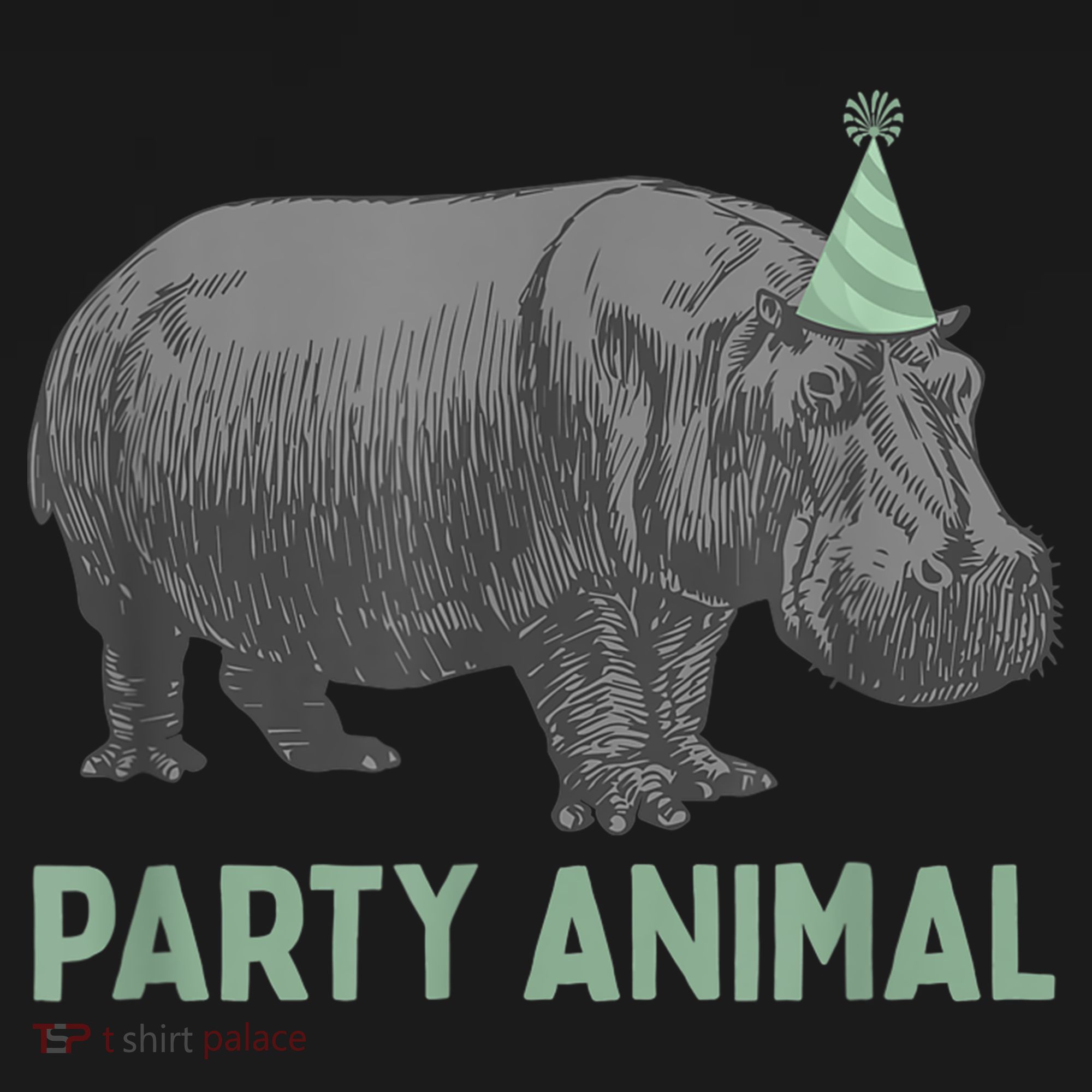 Party Animal Hippo Birthday Gift Funny Hippo Birthday Gift Women's Hoodie