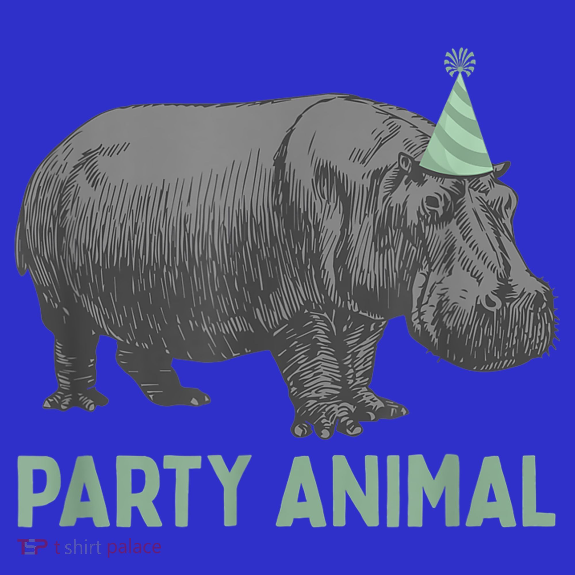 Party Animal Hippo Birthday Gift Funny Hippo Birthday Gift Hoodie