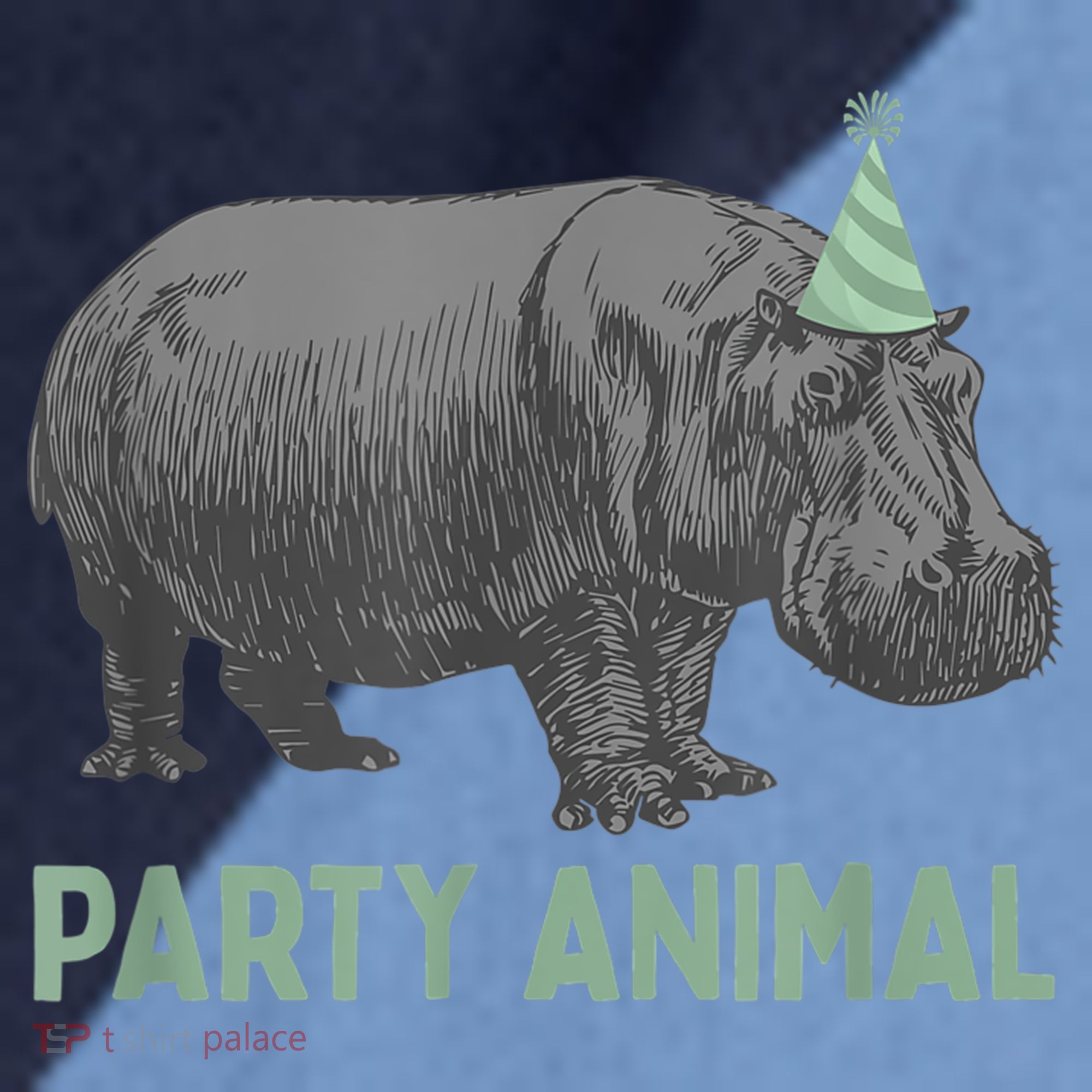 Party Animal Hippo Birthday Gift Funny Hippo Birthday Gift Raglan Baseball Sleeve Shirt