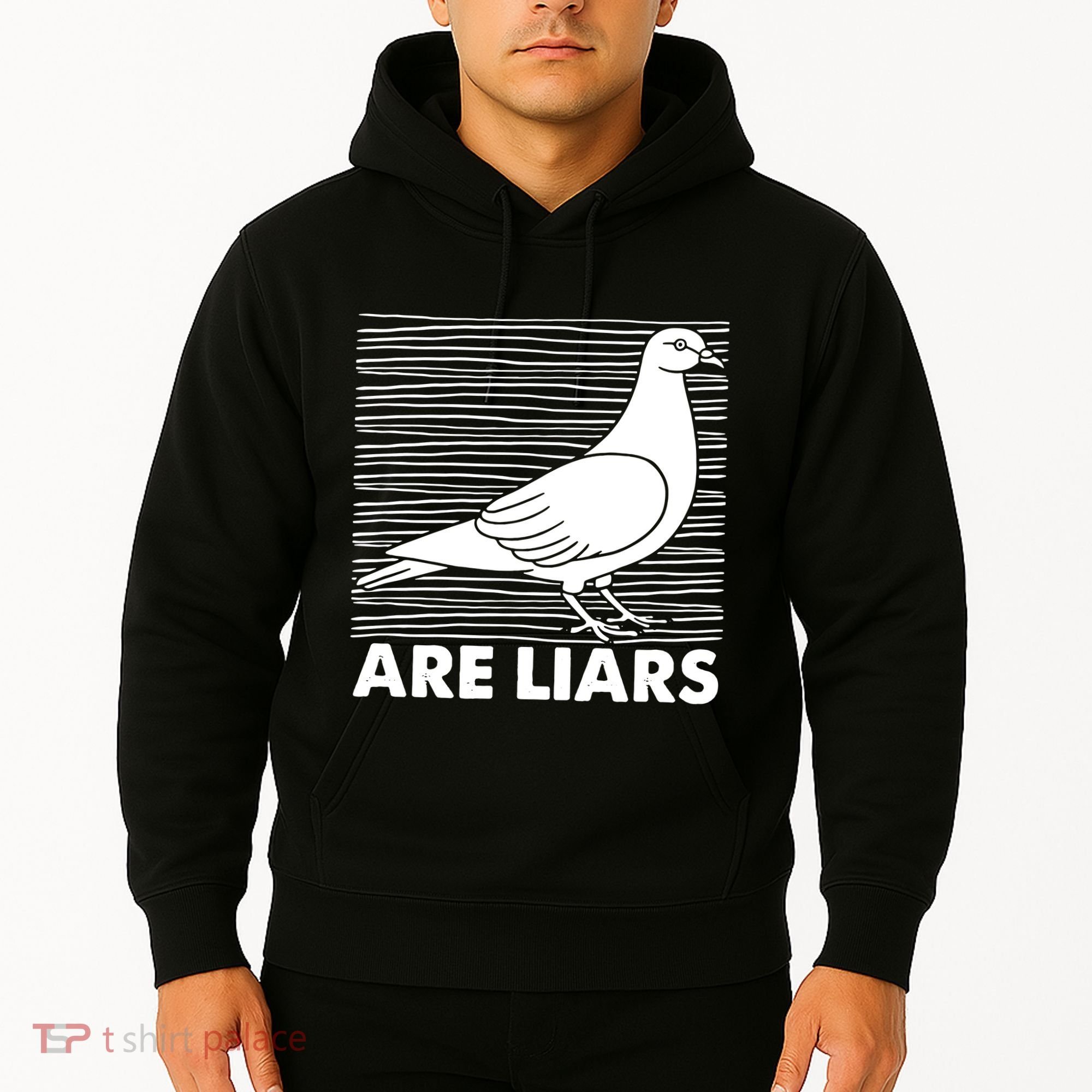 Pigeons Are Liars ArenT Real Spies Birds Pun Hoodie