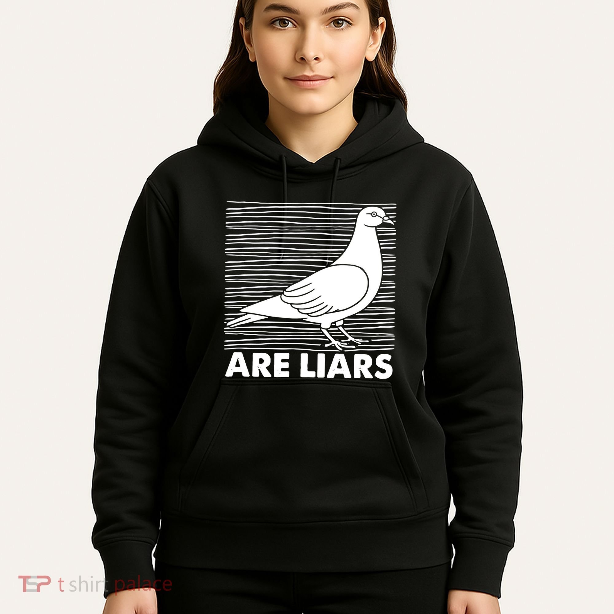 Pigeons Are Liars ArenT Real Spies Birds Pun Hoodie