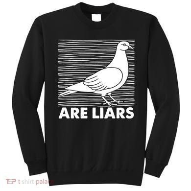 Pigeons Are Liars ArenT Real Spies Birds Pun Sweatshirt