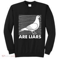 Pigeons Are Liars ArenT Real Spies Birds Pun Sweatshirt thumb 0