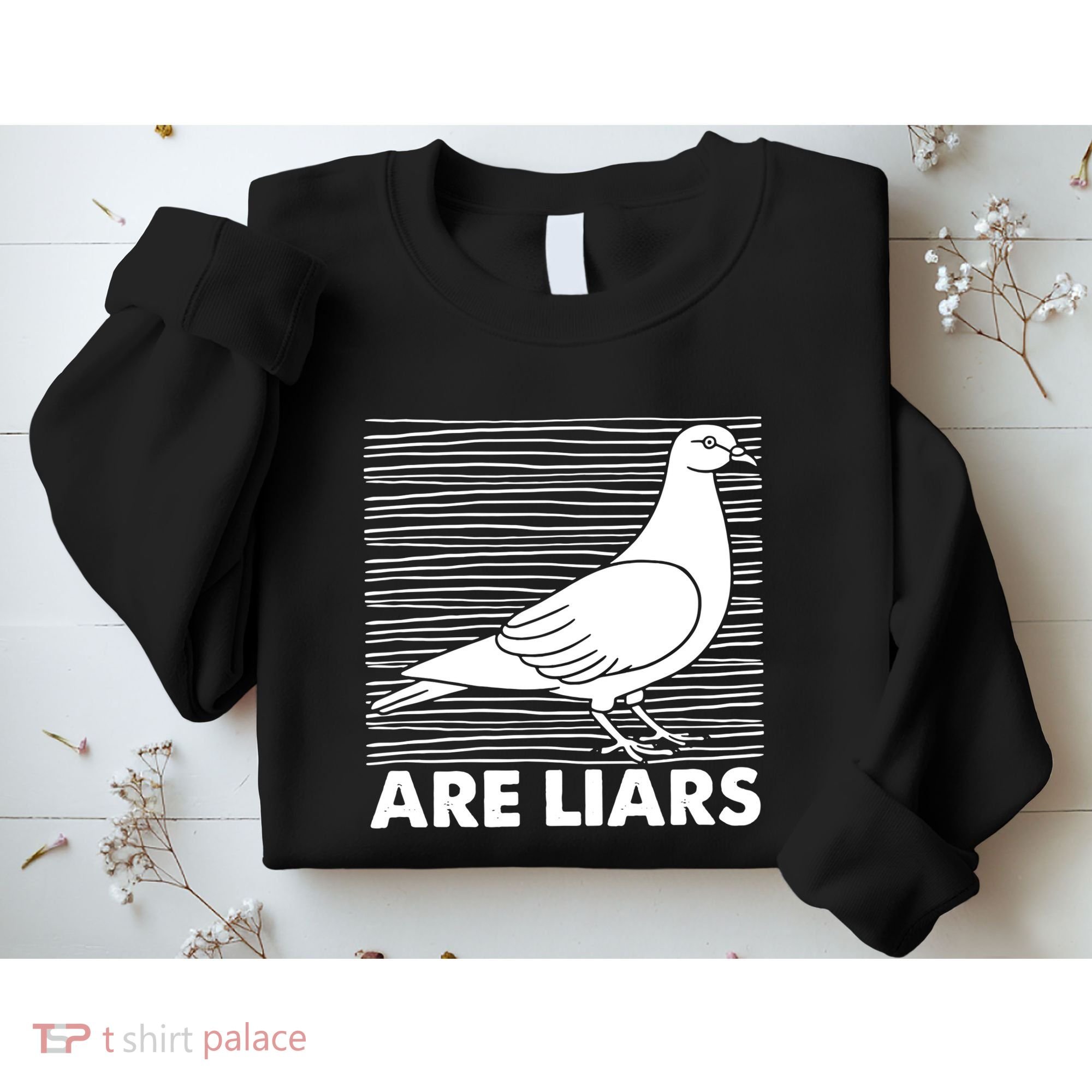 Pigeons Are Liars ArenT Real Spies Birds Pun Sweatshirt