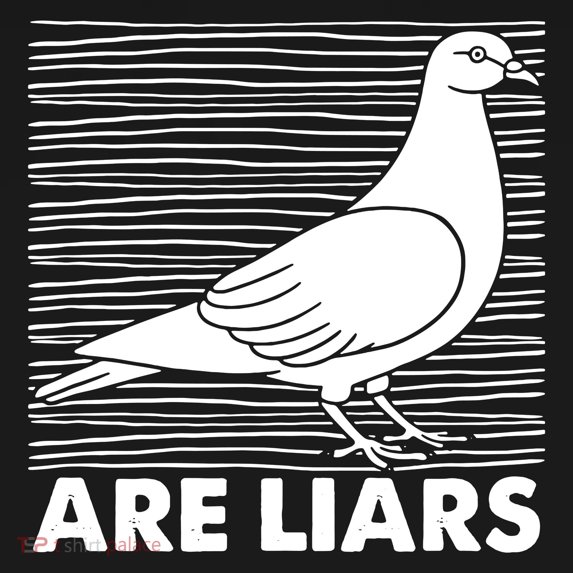 Pigeons Are Liars ArenT Real Spies Birds Pun Women's Tank Top